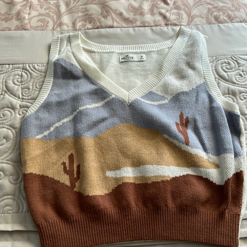Hollister Sweater Vest